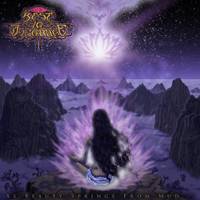 As Beauty Springs from Mud